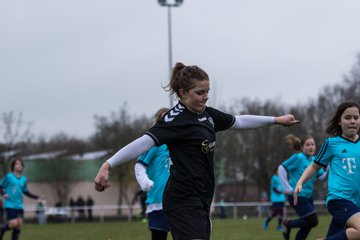 Bild 187 - D-Juniorinnen SVHU - FFC Nordlichter Norderstedt : Ergebnis: 10:0